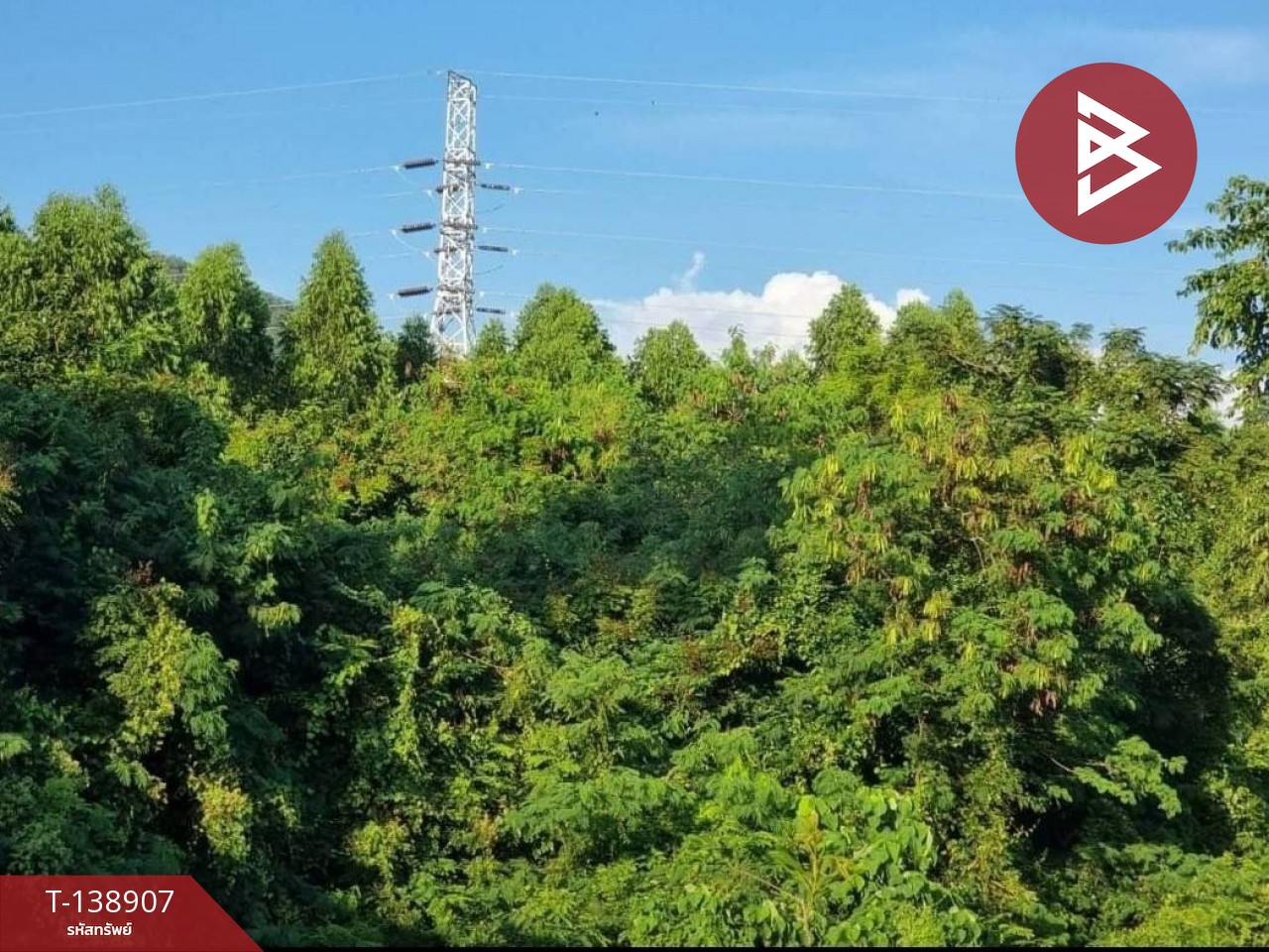 ขายที่ดิน เนื้อที่ 61 ไร่ 21.4 ตร.วา สัตหีบ ชลบุรี 12