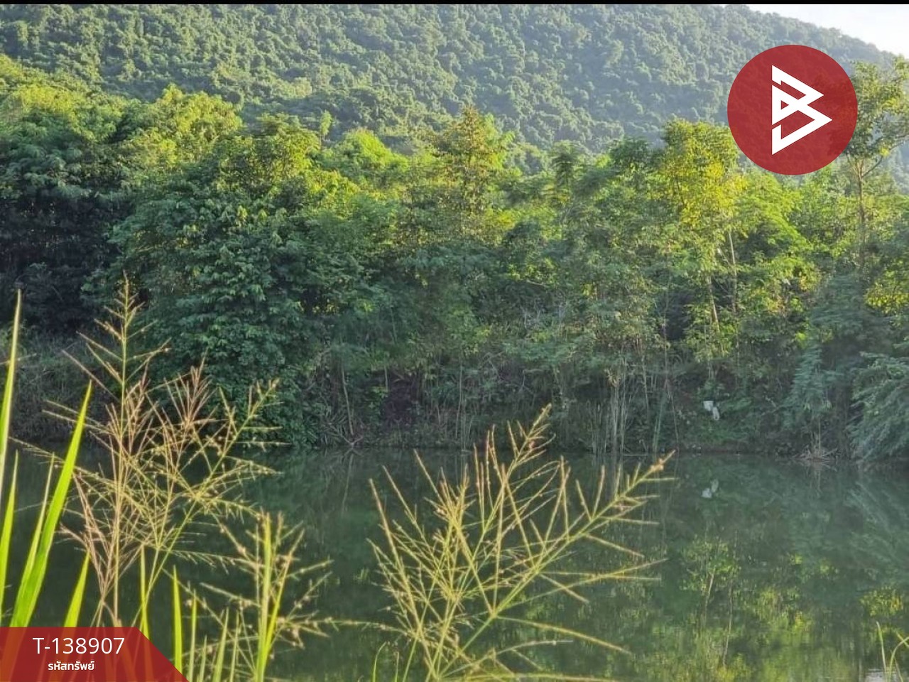 ขายที่ดิน เนื้อที่ 61 ไร่ 21.4 ตร.วา สัตหีบ ชลบุรี 13