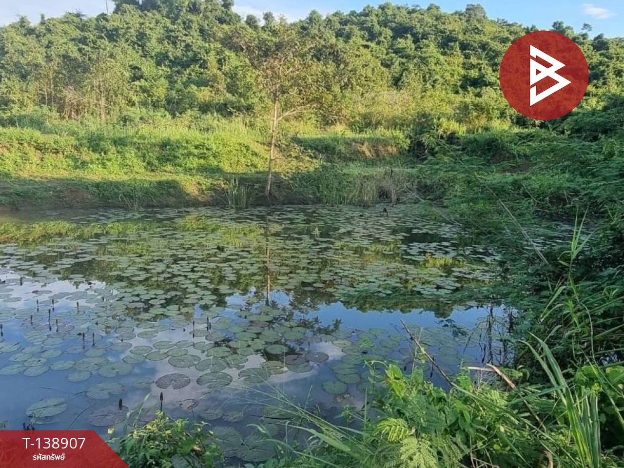 ขายที่ดิน เนื้อที่ 61 ไร่ 21.4 ตร.วา สัตหีบ ชลบุรี 14