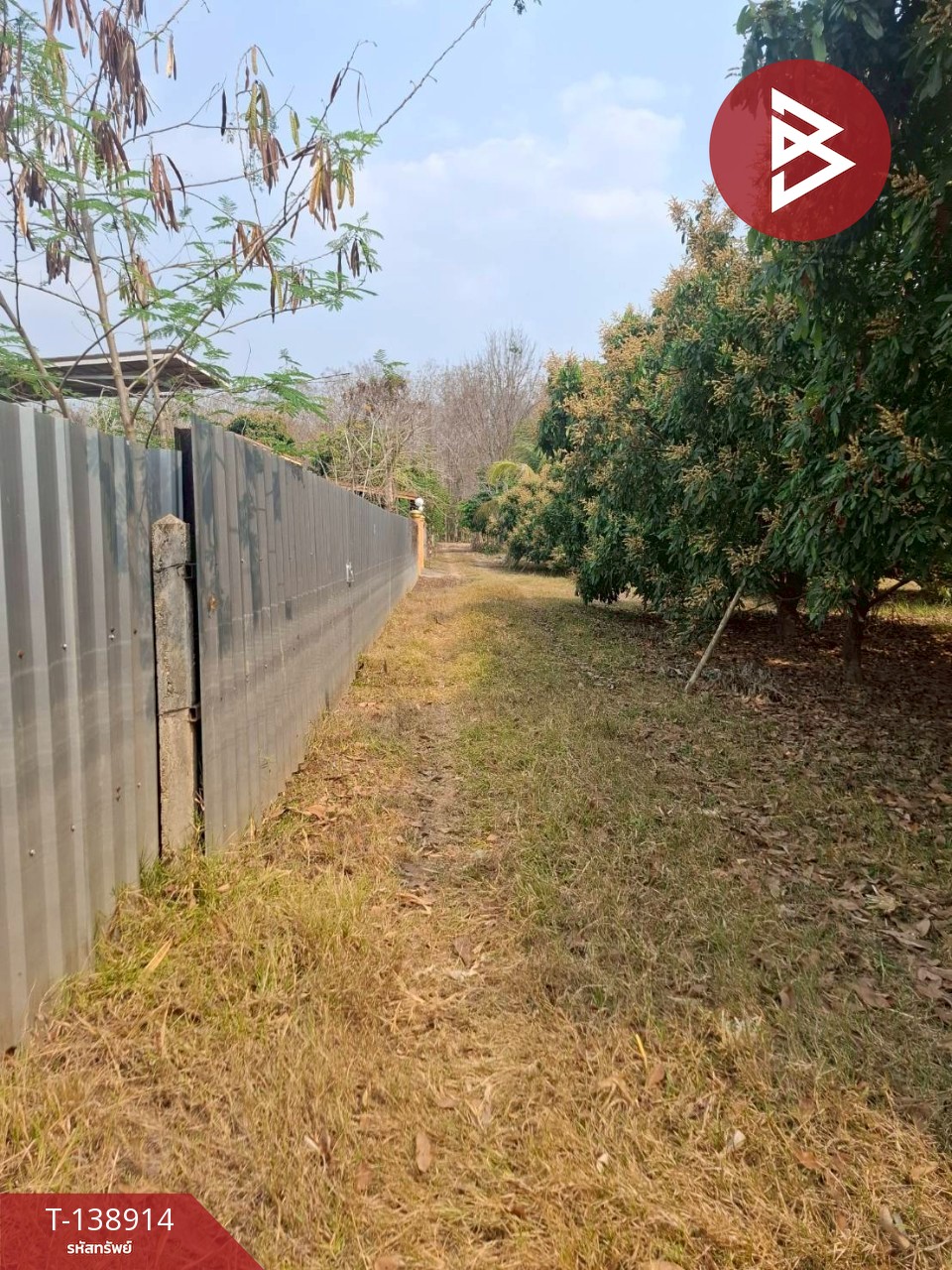 ขายที่ดิน เนื้อที่ 1 ไร่ เทิง เชียงราย 4