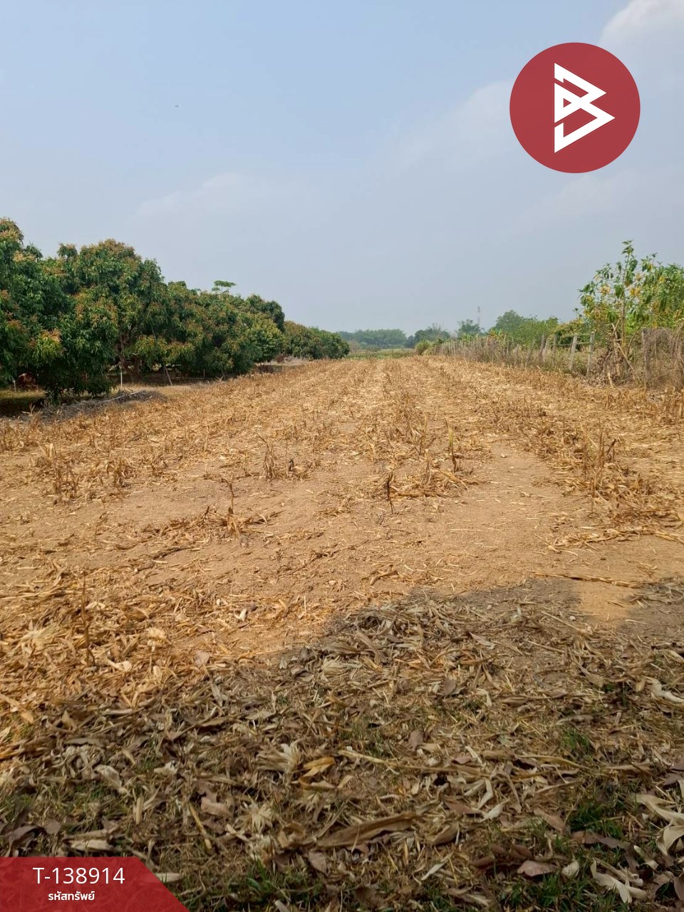 ขายที่ดิน เนื้อที่ 1 ไร่ เทิง เชียงราย 1