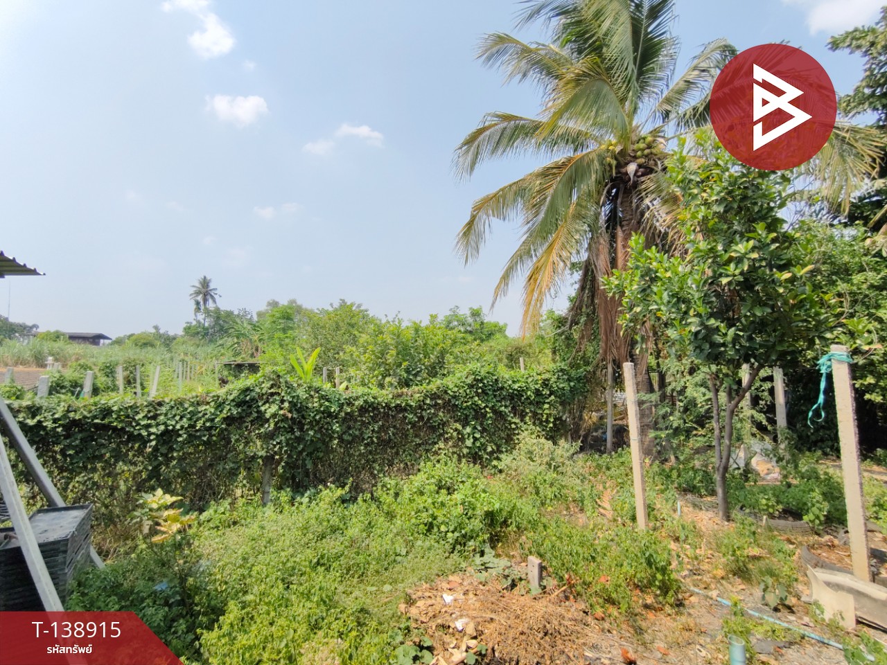 ขายบ้านเดี่ยว เนื้อที่ 1 ไร่ ท่ามะกา กาญจนบุรี 15