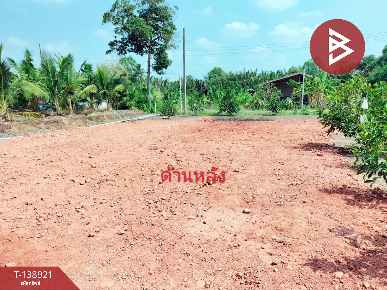 ขายที่ดินพร้อมสิ่งปลูกสร้าง เนื้อที่ 2 งาน 15 ตร.วา นางตะเคียน สมุทรสงคราม 9