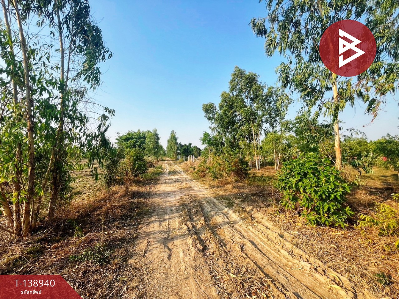 ขายที่ดิน เนื้อที่ 1 งาน ดอนเจดีย์ สุพรรณบุรี 5