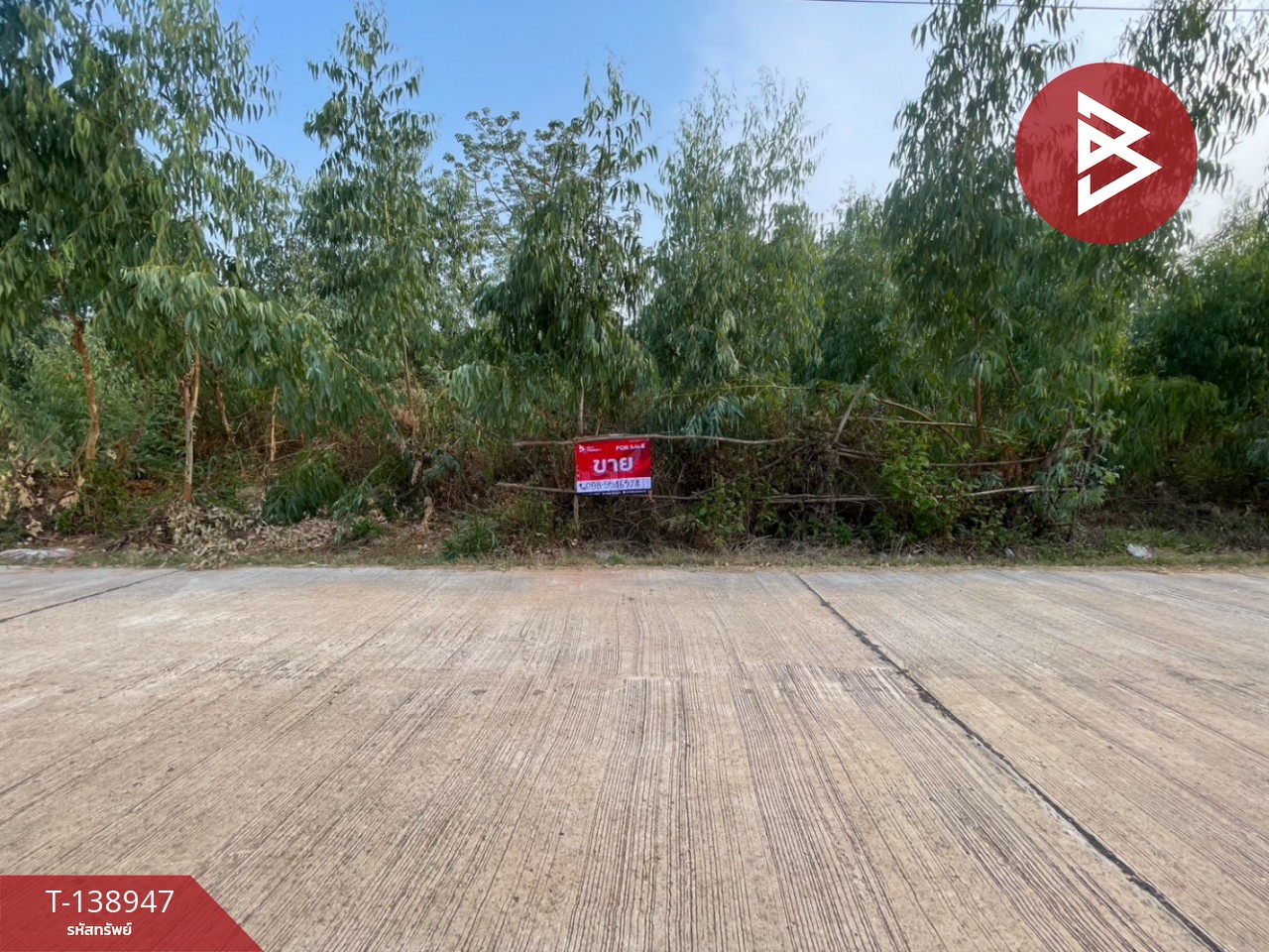 ขายที่ดิน เนื้อที่ 3 ไร่ 1 งาน 15 ตร.วา บ้านแฮด ขอนแก่น 3