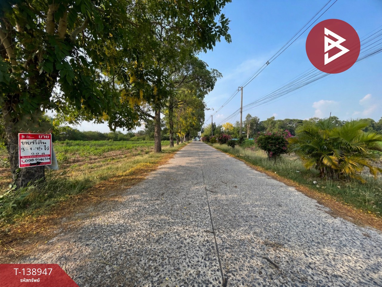 ขายที่ดิน เนื้อที่ 3 ไร่ 1 งาน 15 ตร.วา บ้านแฮด ขอนแก่น 8
