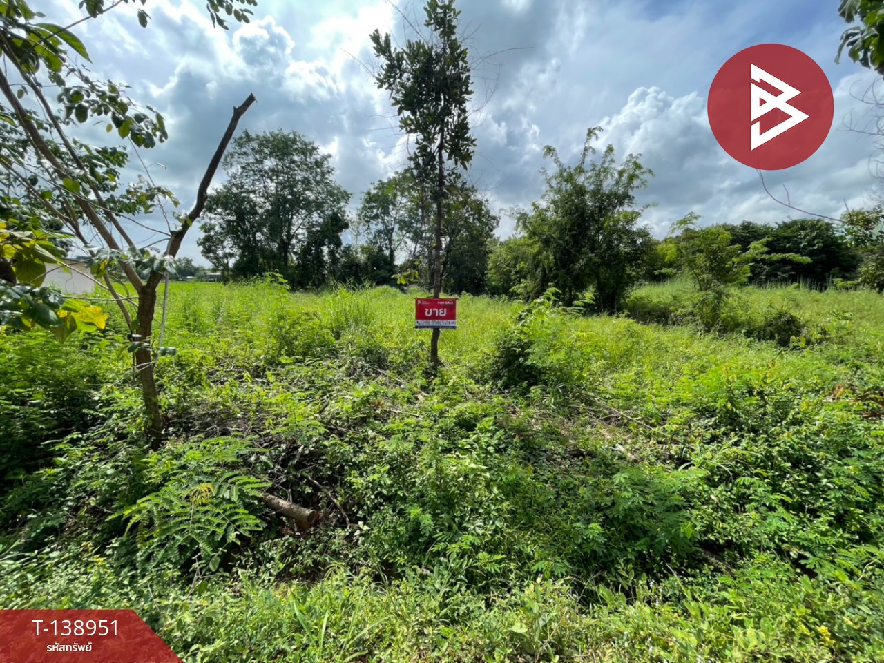 ขายที่ดิน เนื้อที่ 1 ไร่ 54 ตร.วา นาฝาย ชัยภูมิ 1