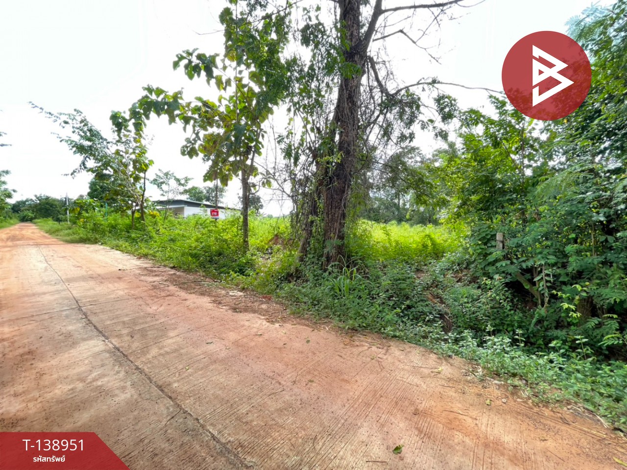 ขายที่ดิน เนื้อที่ 1 ไร่ 54 ตร.วา นาฝาย ชัยภูมิ 5