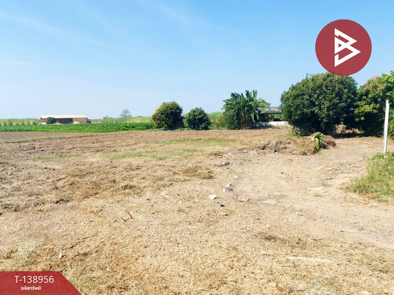 ขายที่ดิน เนื้อที่ 1 ไร่ 95 ตร.วา บ้านโป่ง ราชบุรี 7