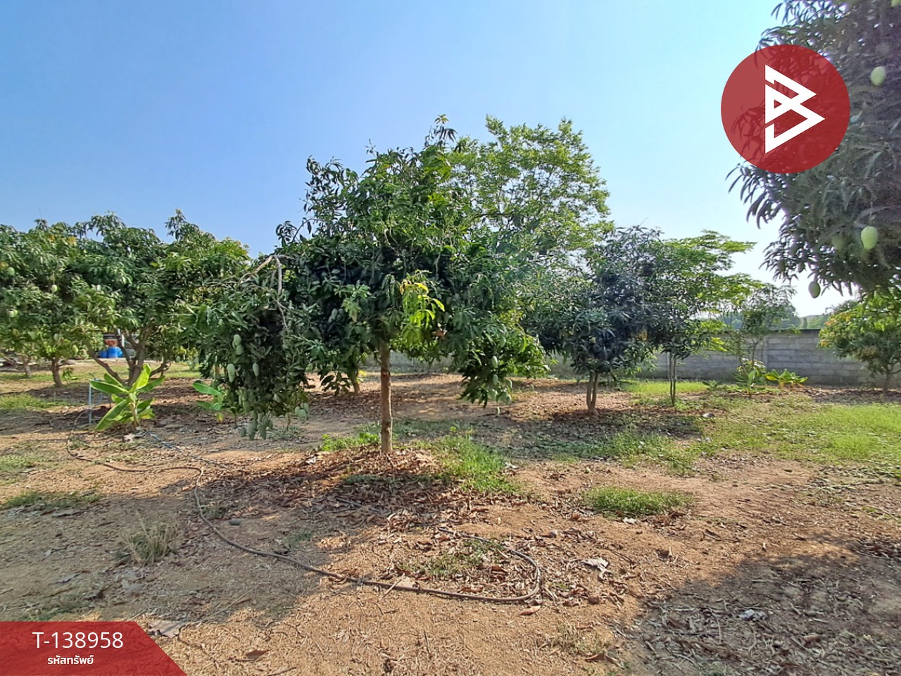 ขายบ้านเดี่ยวพร้อมที่ดิน เนื้อที่ 3 ไร่ 1 งาน 42.8 ตร.วา บ้านโป่ง ราชบุรี 13