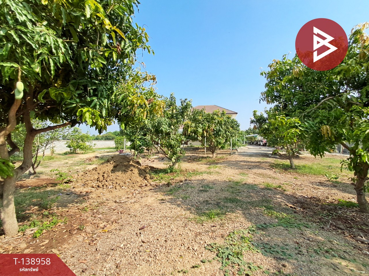 ขายบ้านเดี่ยวพร้อมที่ดิน เนื้อที่ 3 ไร่ 1 งาน 42.8 ตร.วา บ้านโป่ง ราชบุรี 12