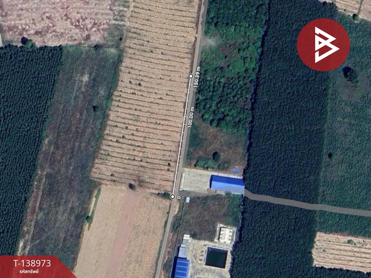 ขายที่ดิน เนื้อที่ 7 ไร่ แปลงยาว ฉะเชิงเทรา 8