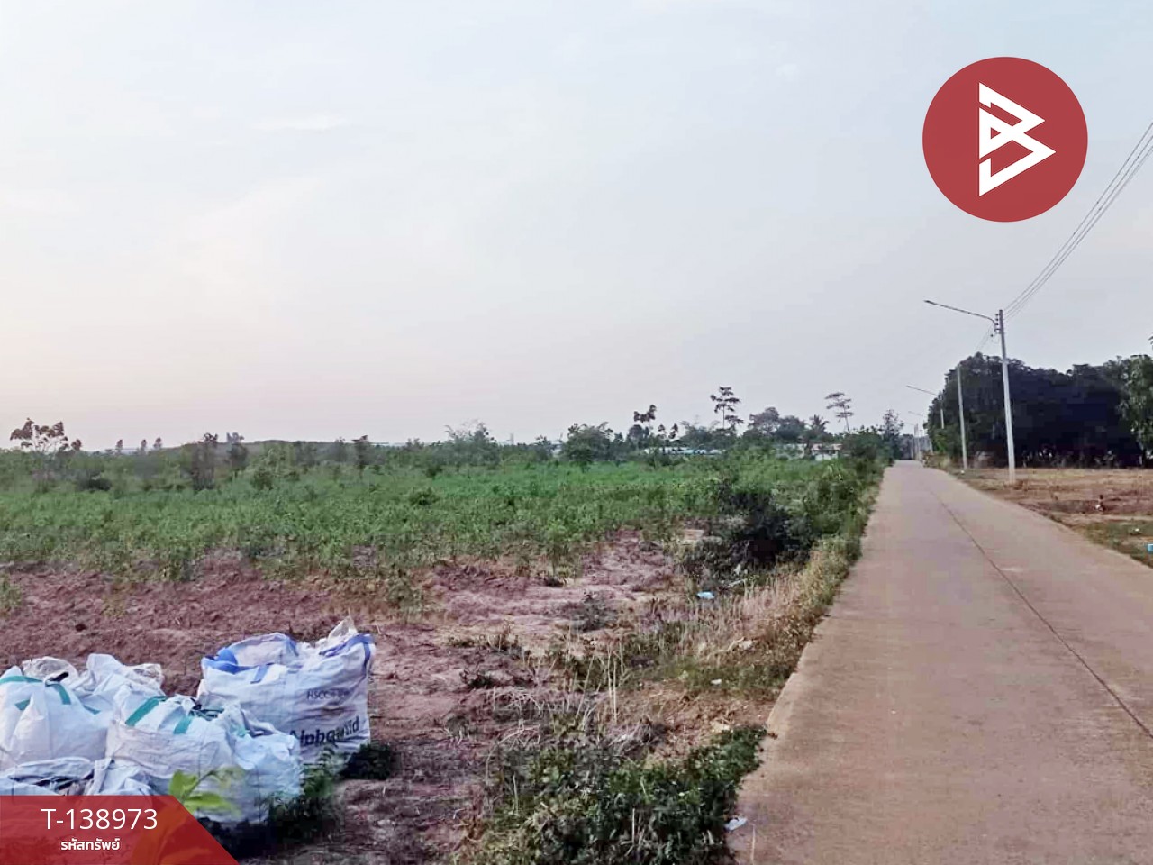 ขายที่ดิน เนื้อที่ 7 ไร่ แปลงยาว ฉะเชิงเทรา 2