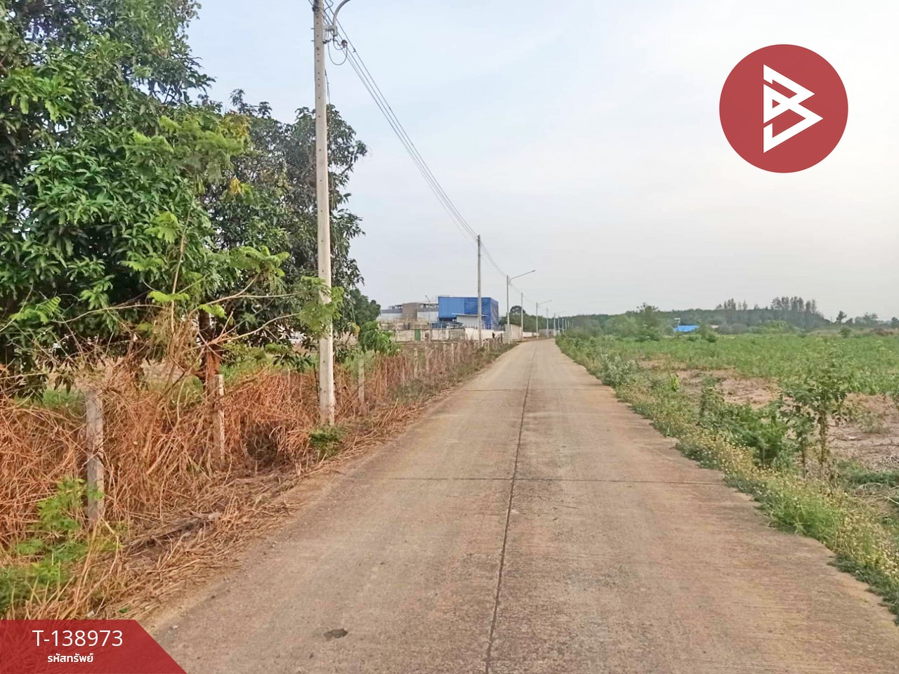 ขายที่ดิน เนื้อที่ 7 ไร่ แปลงยาว ฉะเชิงเทรา 3