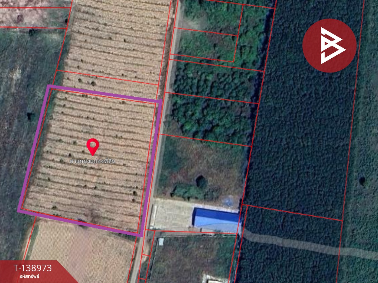 ขายที่ดิน เนื้อที่ 7 ไร่ แปลงยาว ฉะเชิงเทรา 6