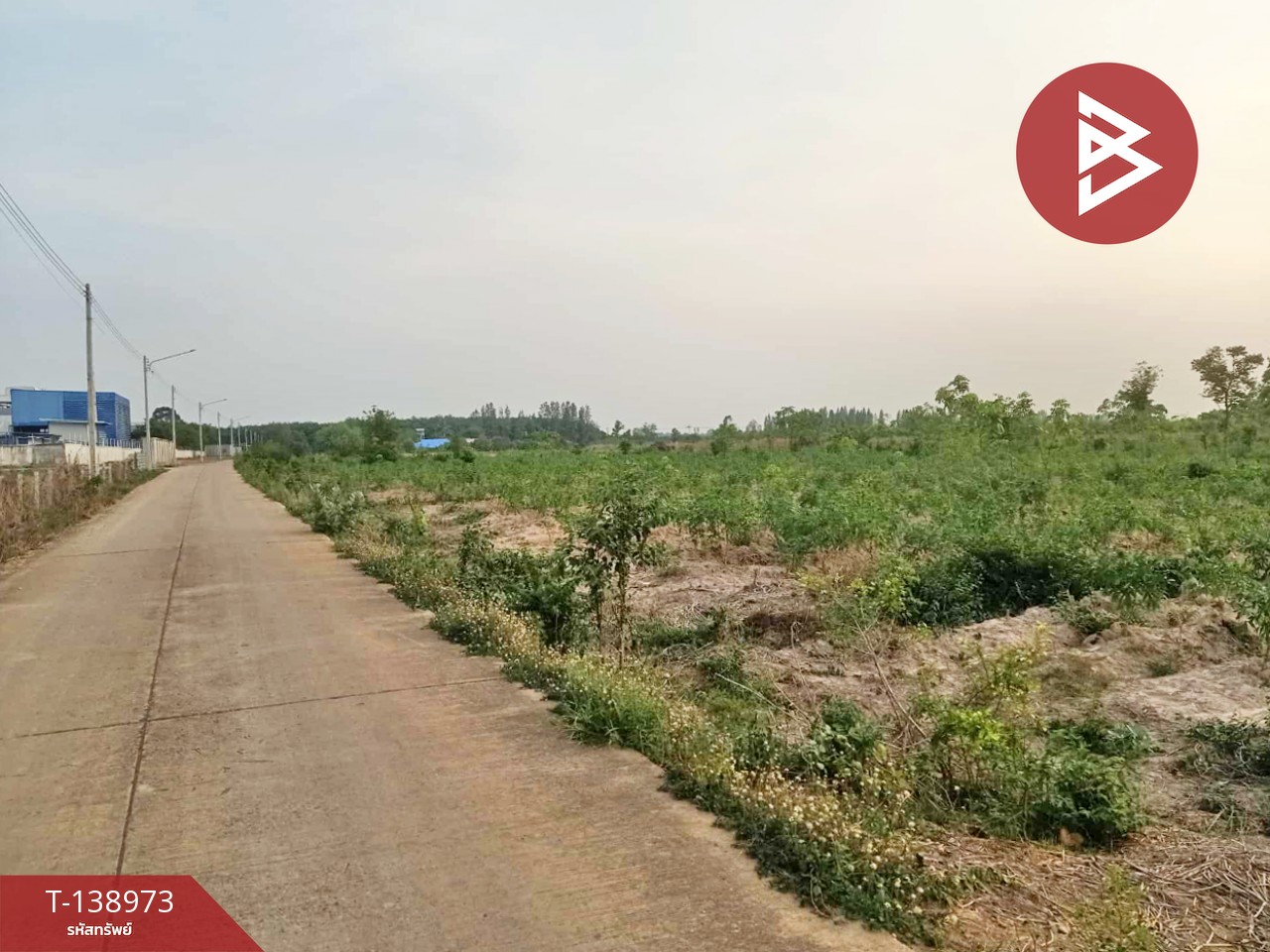 ขายที่ดิน เนื้อที่ 7 ไร่ แปลงยาว ฉะเชิงเทรา 1