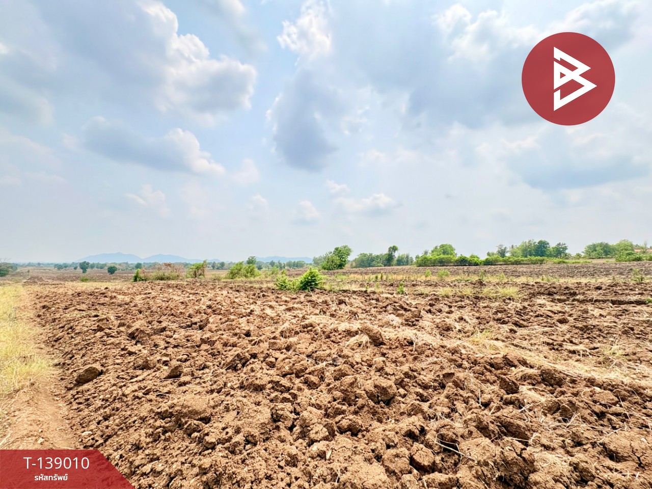 ขายที่ดิน เนื้อที่ 13 ไร่ 7 ตร.วา ตากฟ้า นครสวรรค์ 2