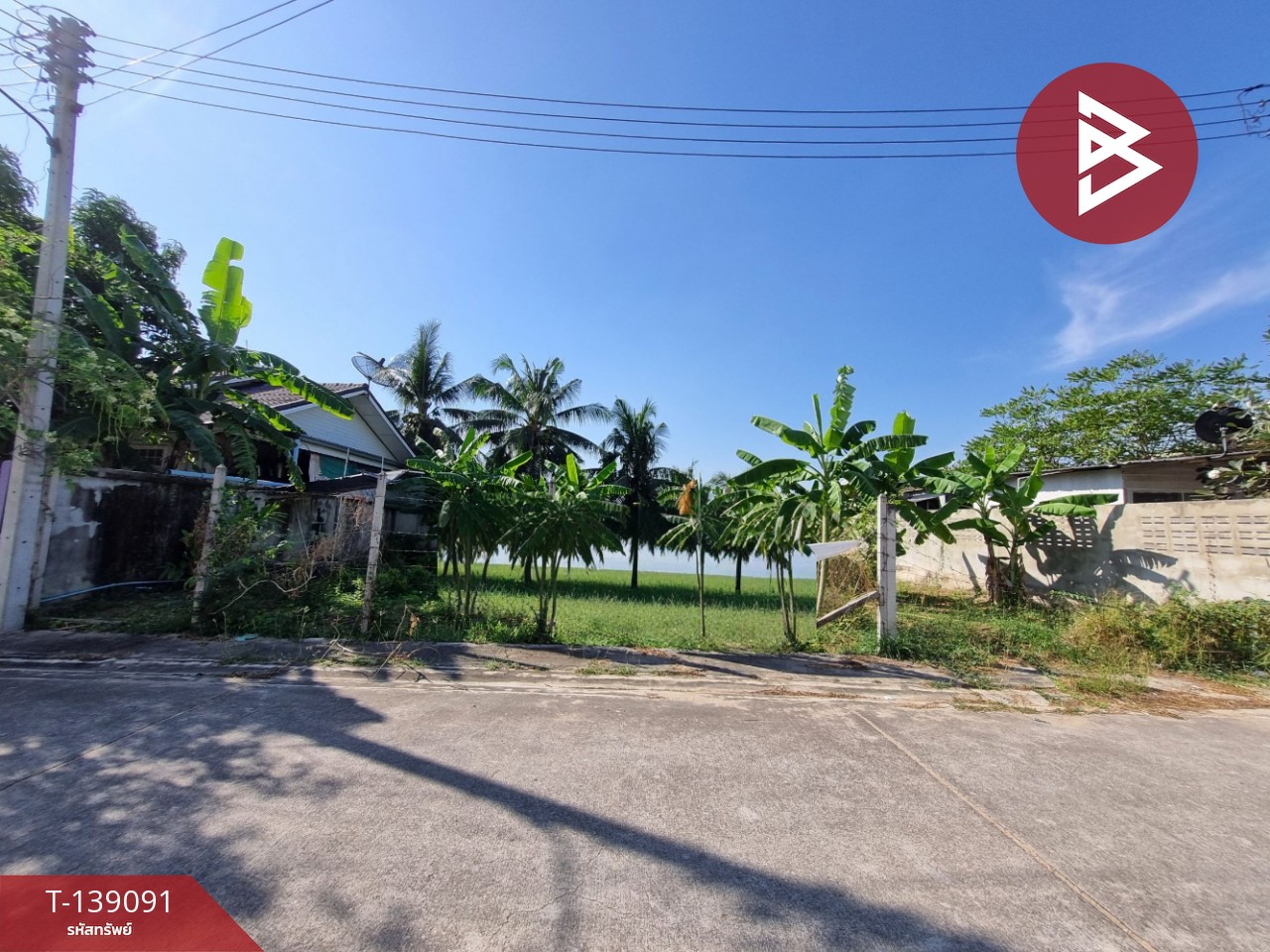 ขายด่วนที่ดินเปล่า เนื้อที่ 64 ตร.วา ชะอำ เพชรบุรี 1