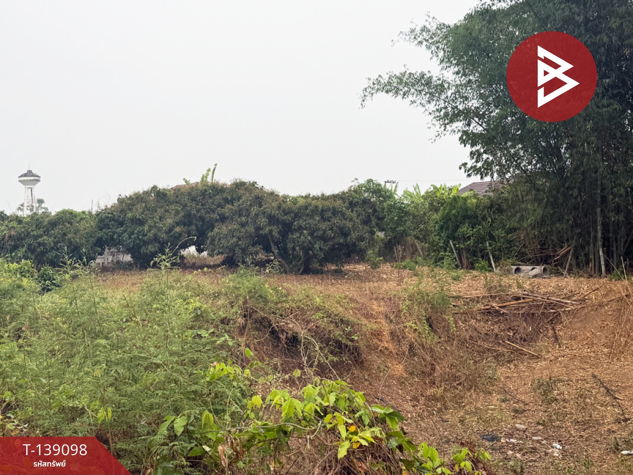 ขายที่ดินสวนลำไย เนื้อที่ 1 ไร่ 2 งาน 11 ตารางวา เวียงหนองล่อง ลำพูน ทำเลติดถนน 8