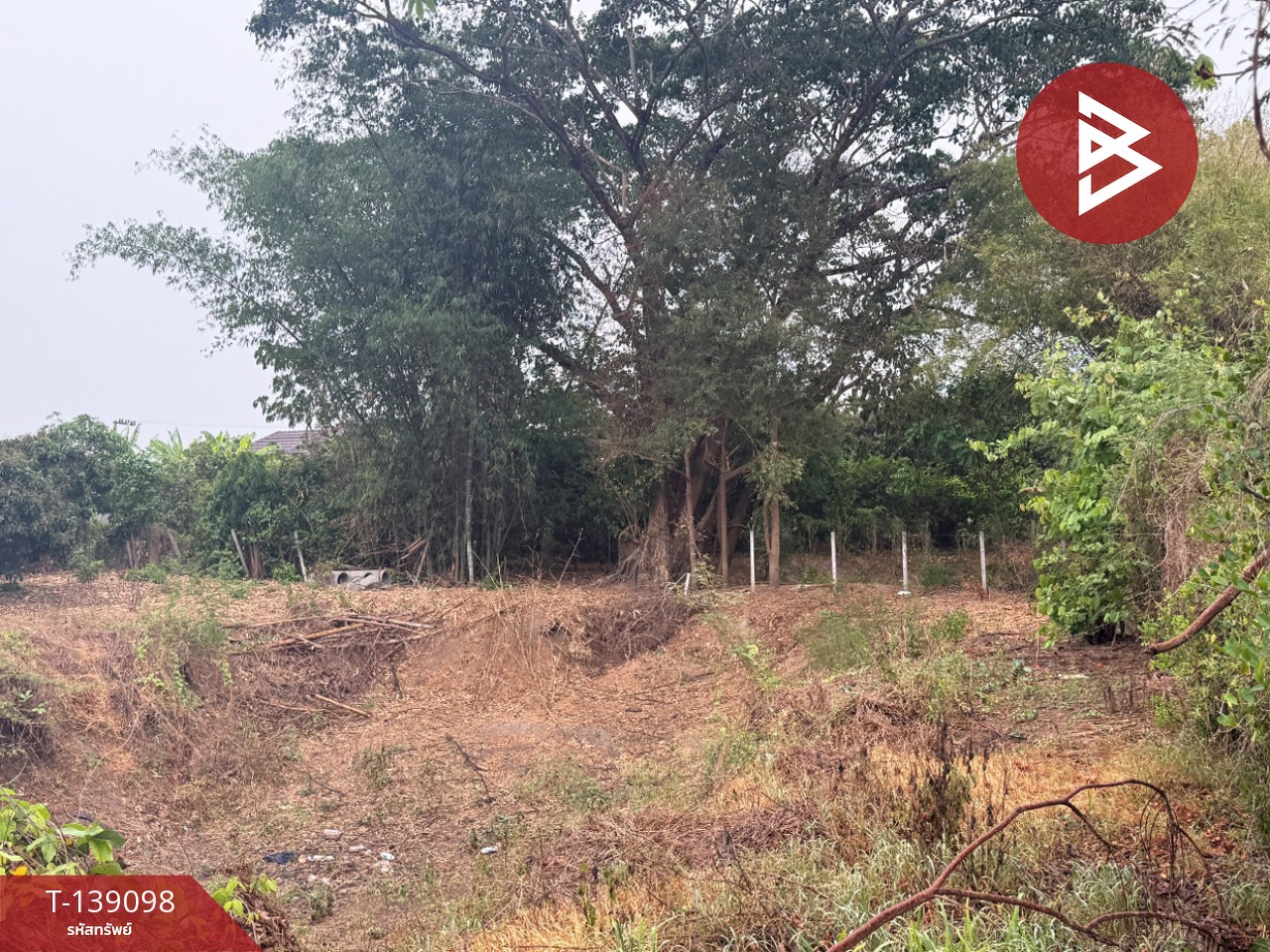 ขายที่ดินสวนลำไย เนื้อที่ 1 ไร่ 2 งาน 11 ตารางวา เวียงหนองล่อง ลำพูน ทำเลติดถนน 11