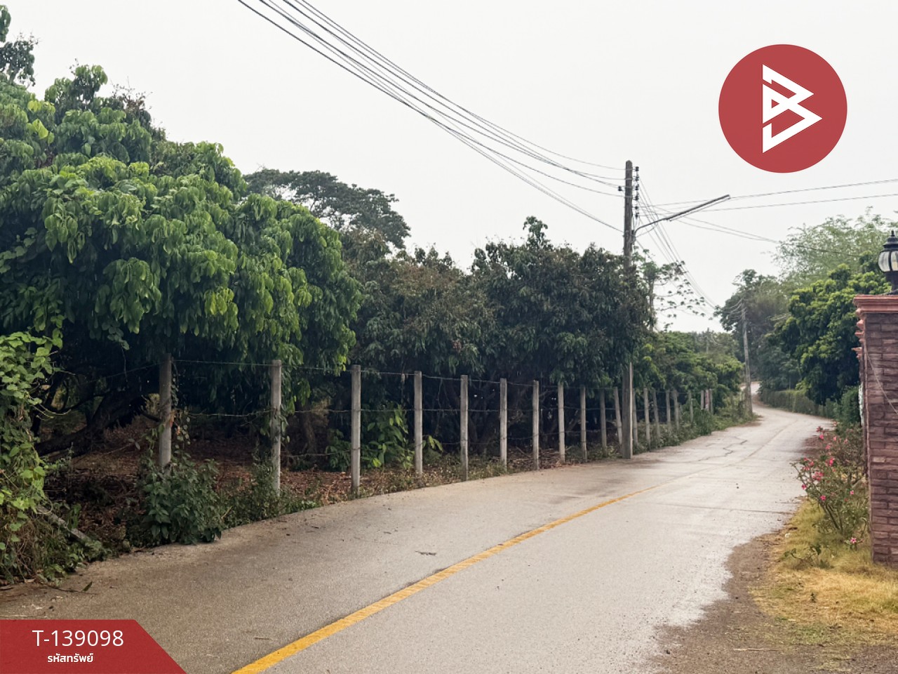 ขายที่ดินสวนลำไย เนื้อที่ 1 ไร่ 2 งาน 11 ตารางวา เวียงหนองล่อง ลำพูน ทำเลติดถนน 3