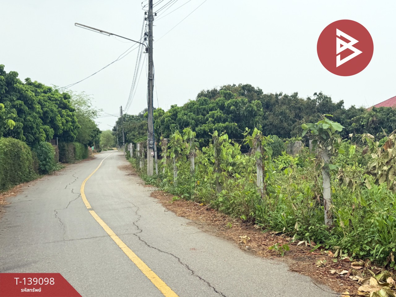 ขายที่ดินสวนลำไย เนื้อที่ 1 ไร่ 2 งาน 11 ตารางวา เวียงหนองล่อง ลำพูน ทำเลติดถนน 4