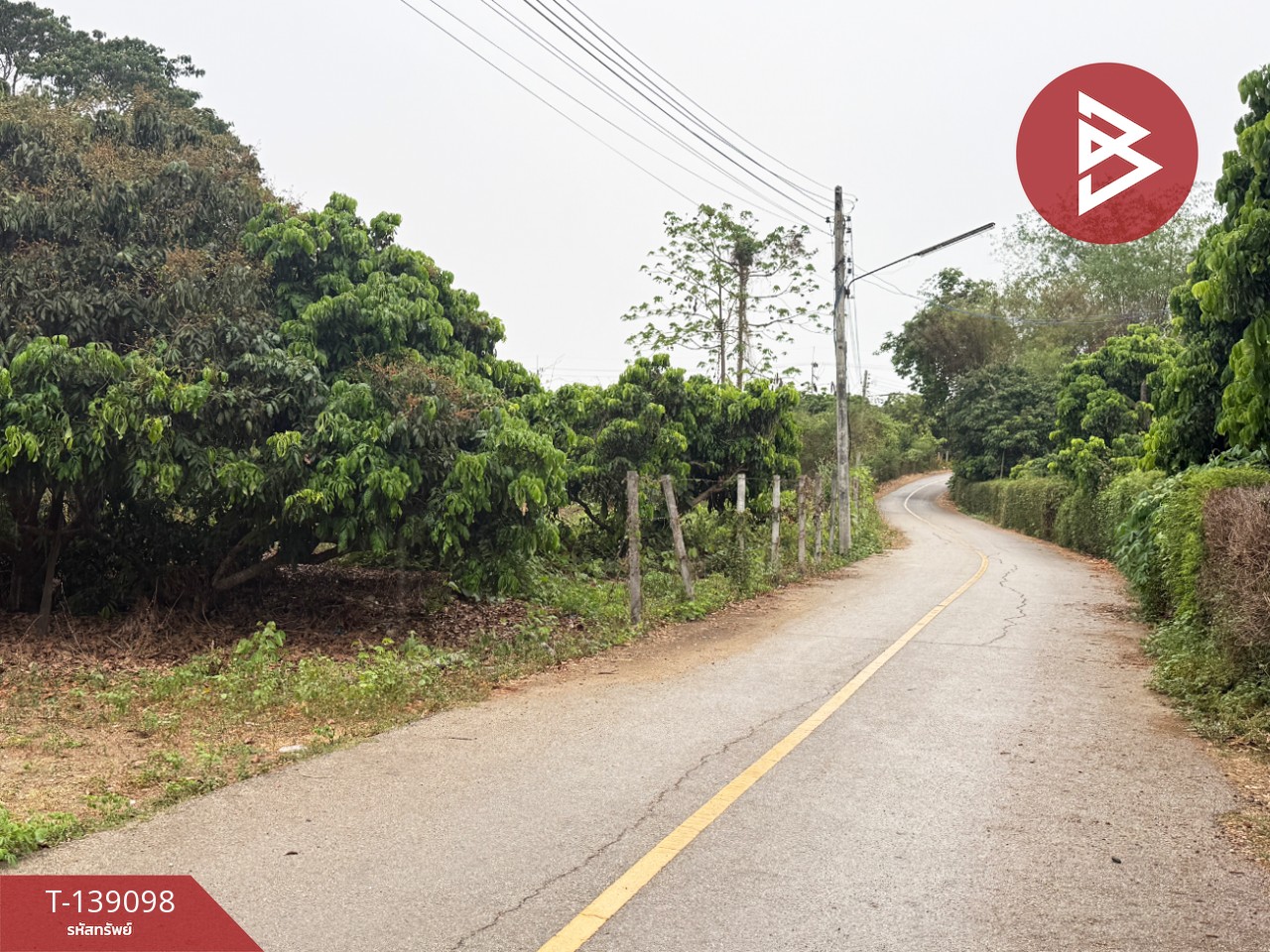 ขายที่ดินสวนลำไย เนื้อที่ 1 ไร่ 2 งาน 11 ตารางวา เวียงหนองล่อง ลำพูน ทำเลติดถนน 13