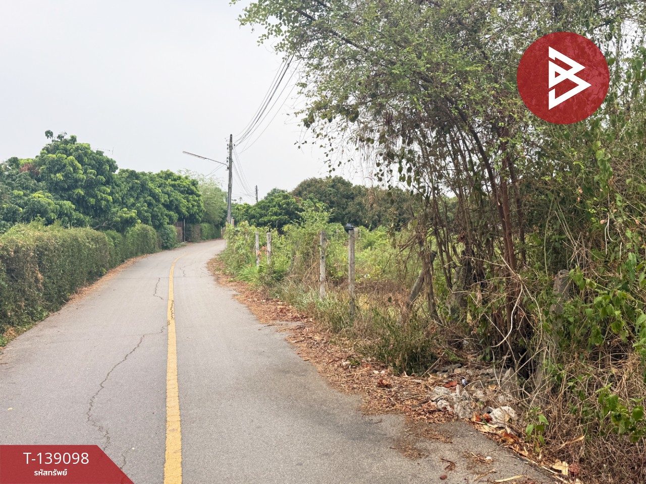 ขายที่ดินสวนลำไย เนื้อที่ 1 ไร่ 2 งาน 11 ตารางวา เวียงหนองล่อง ลำพูน ทำเลติดถนน 14