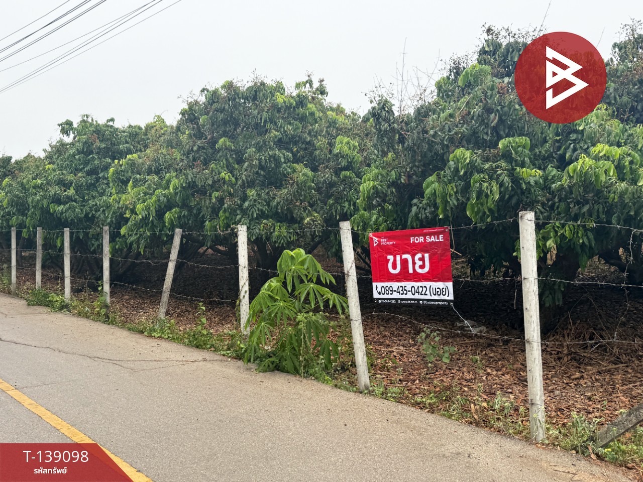 ขายที่ดินสวนลำไย เนื้อที่ 1 ไร่ 2 งาน 11 ตารางวา เวียงหนองล่อง ลำพูน ทำเลติดถนน 1