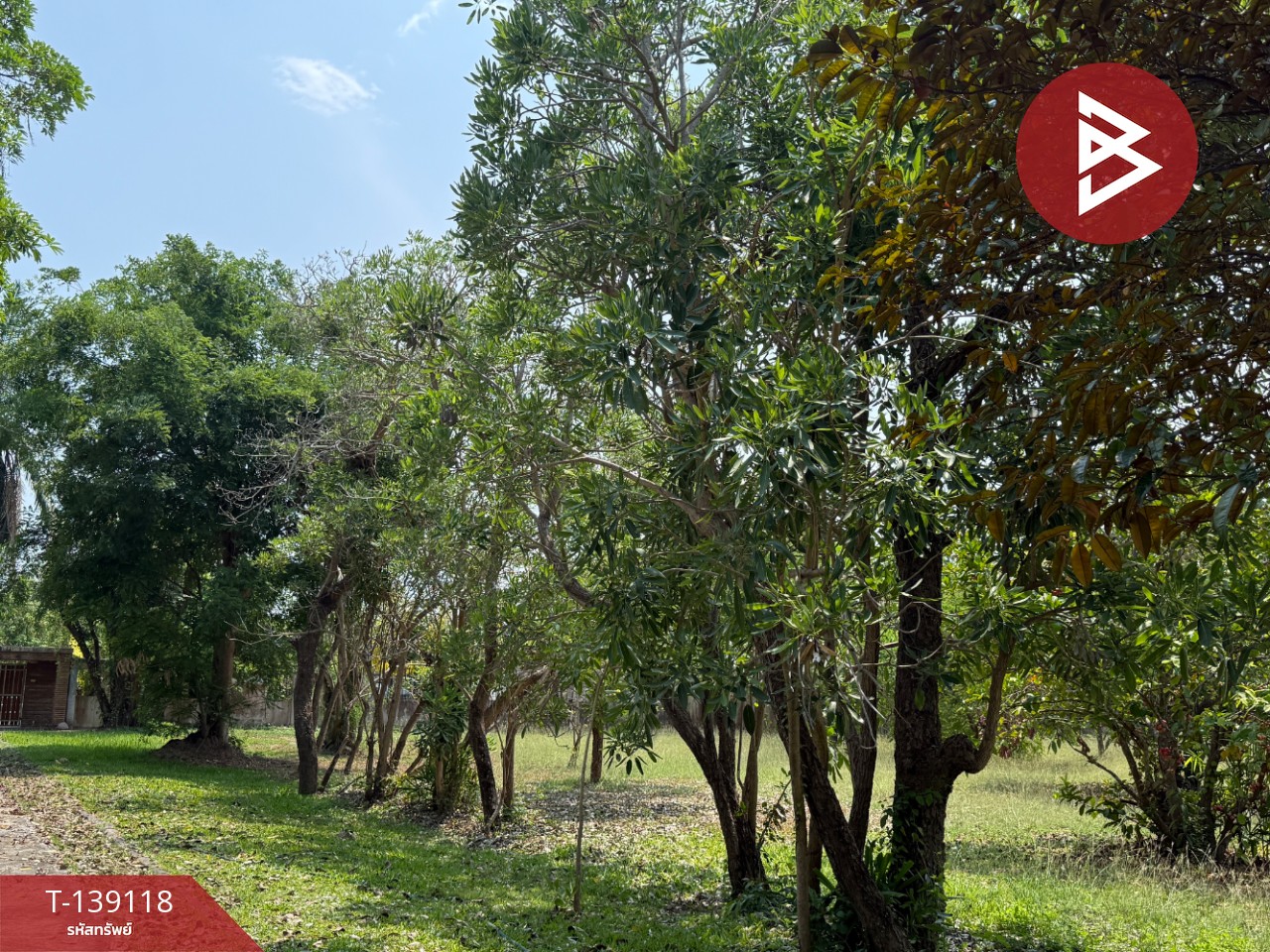 ขายบ้านเดี่ยว พร้อมที่ดิน เนื้อที่ 12 ไร่ 36 ตร.วา สันป่าตอง เชียงใหม่ ทำเลติดถนน 14