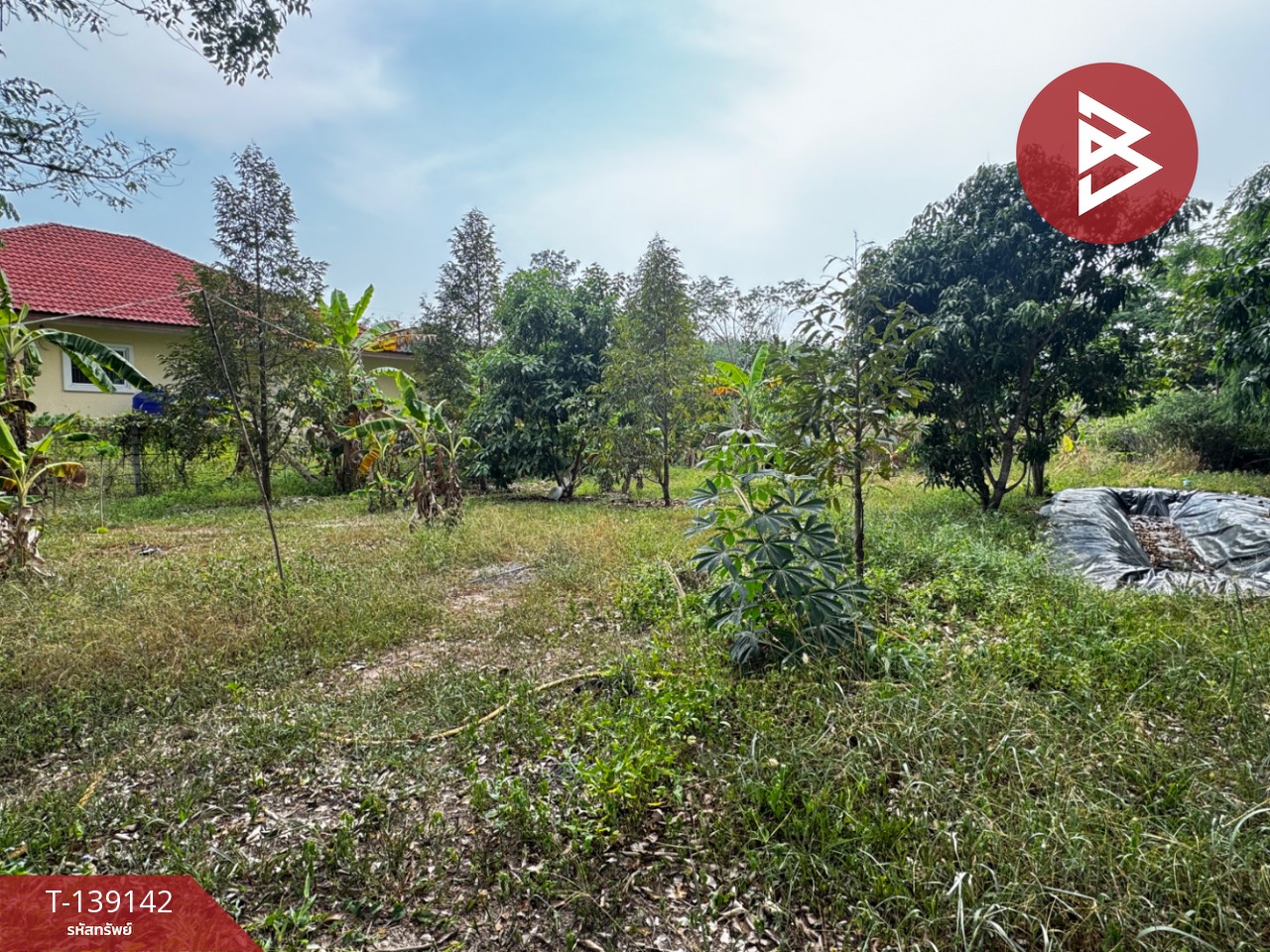 ขายบ้านเดี่ยวพร้อมที่ดิน เนื้อที่ 1 ไร่ บ้านค่าย ระยอง 6