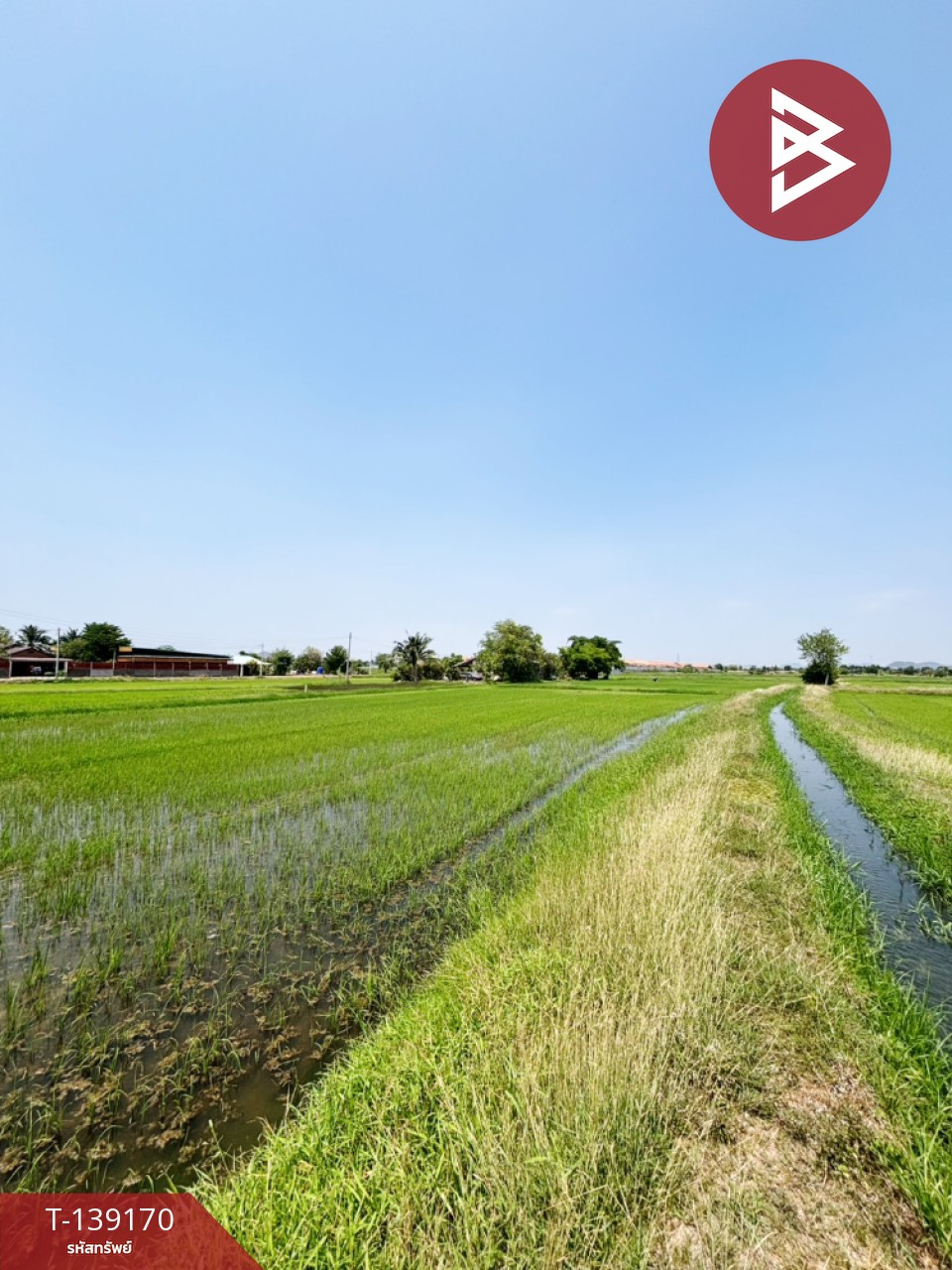 ขายที่ดิน เนื้อที่ 10 ไร่ 69 ตร.วา เจดีย์หัก ราชบุรี 3