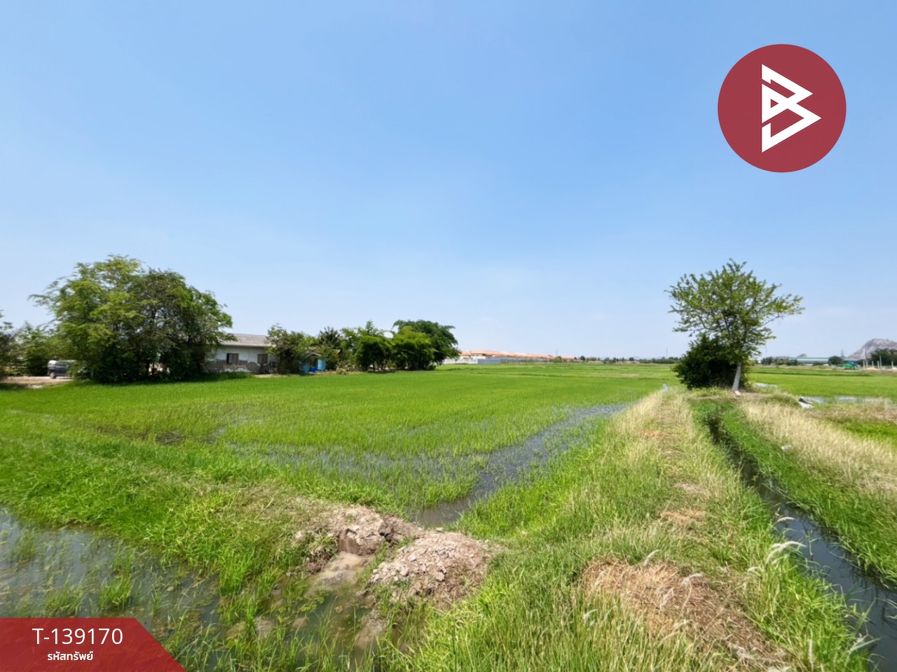 ขายที่ดิน เนื้อที่ 10 ไร่ 69 ตร.วา เจดีย์หัก ราชบุรี 2