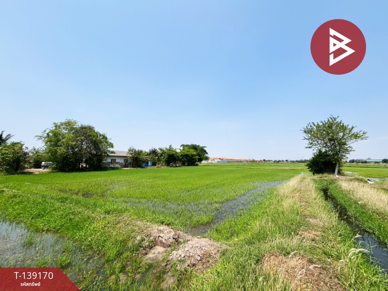 ขายที่ดิน เนื้อที่ 10 ไร่ 69 ตร.วา เจดีย์หัก ราชบุรี 1