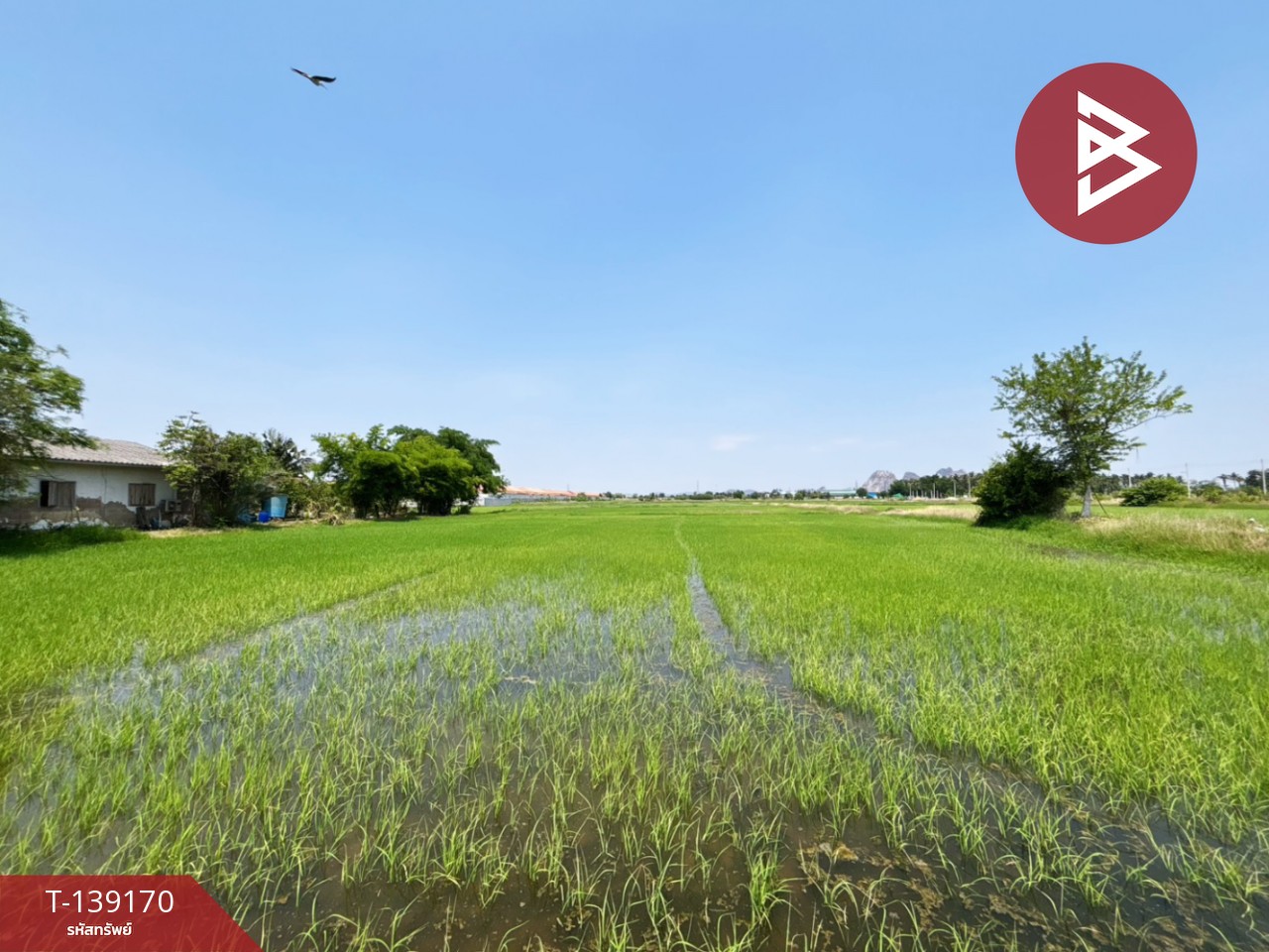 ขายที่ดิน เนื้อที่ 10 ไร่ 69 ตร.วา เจดีย์หัก ราชบุรี 4