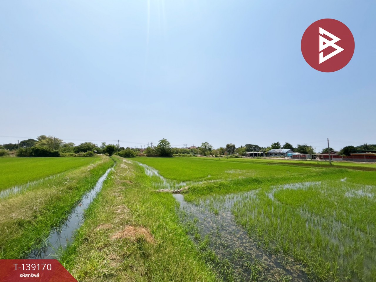 ขายที่ดิน เนื้อที่ 10 ไร่ 69 ตร.วา เจดีย์หัก ราชบุรี 5