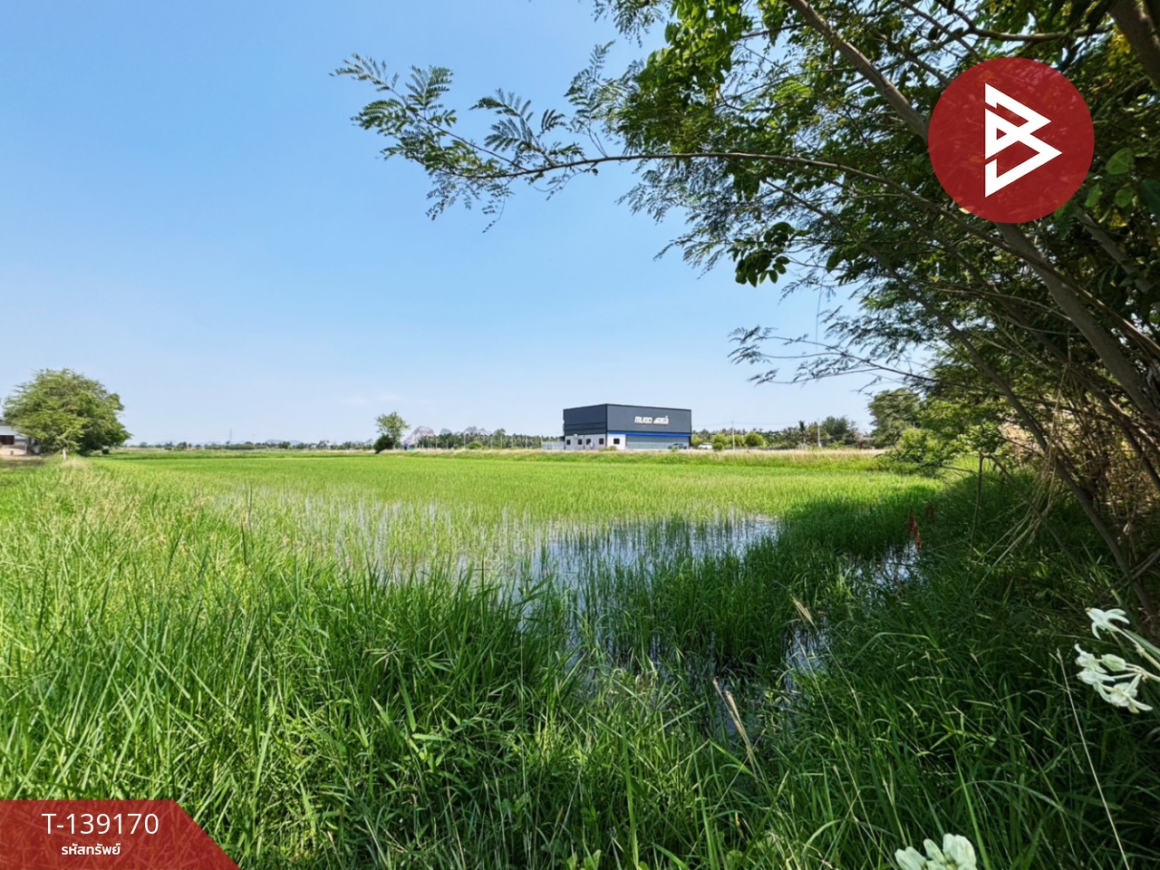 ขายที่ดิน เนื้อที่ 10 ไร่ 69 ตร.วา เจดีย์หัก ราชบุรี 6