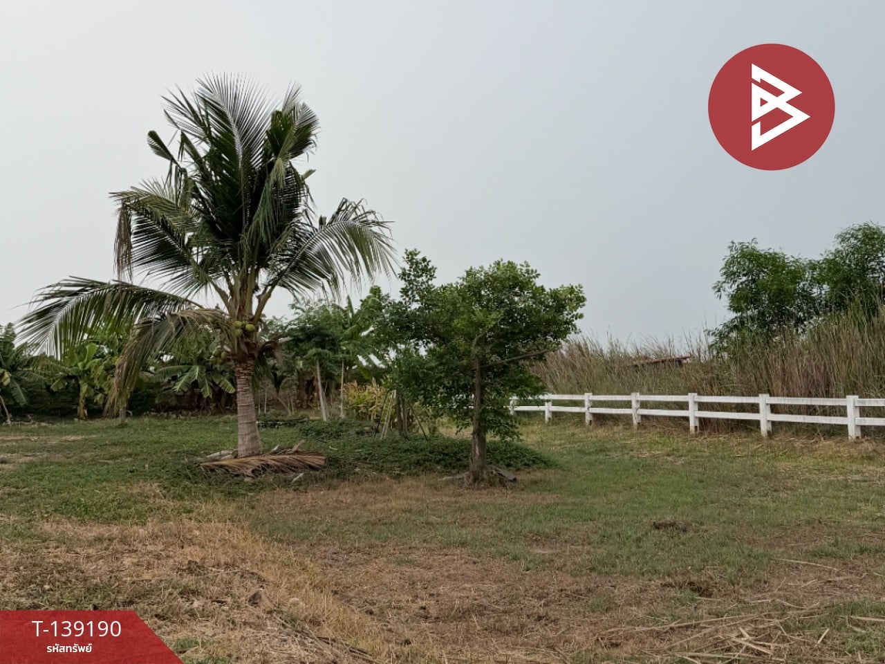 ขายบ้านเดี่ยวพร้อมที่ดิน เนื้อที่ 2 ไร่ 1 ตร.วา องครักษ์ นครนายก 5