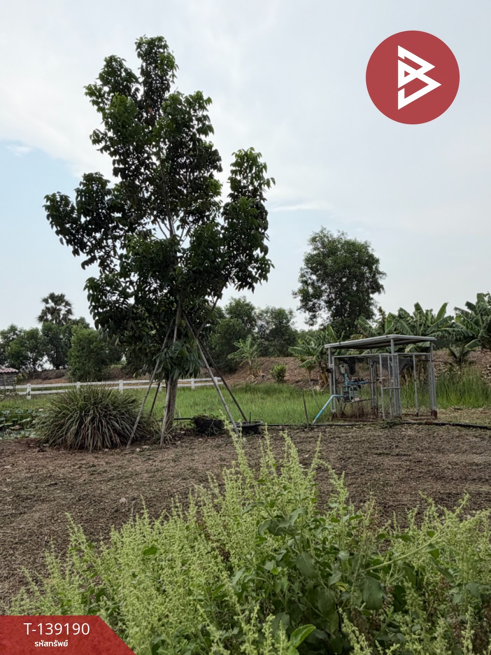 ขายบ้านเดี่ยวพร้อมที่ดิน เนื้อที่ 2 ไร่ 1 ตร.วา องครักษ์ นครนายก 6