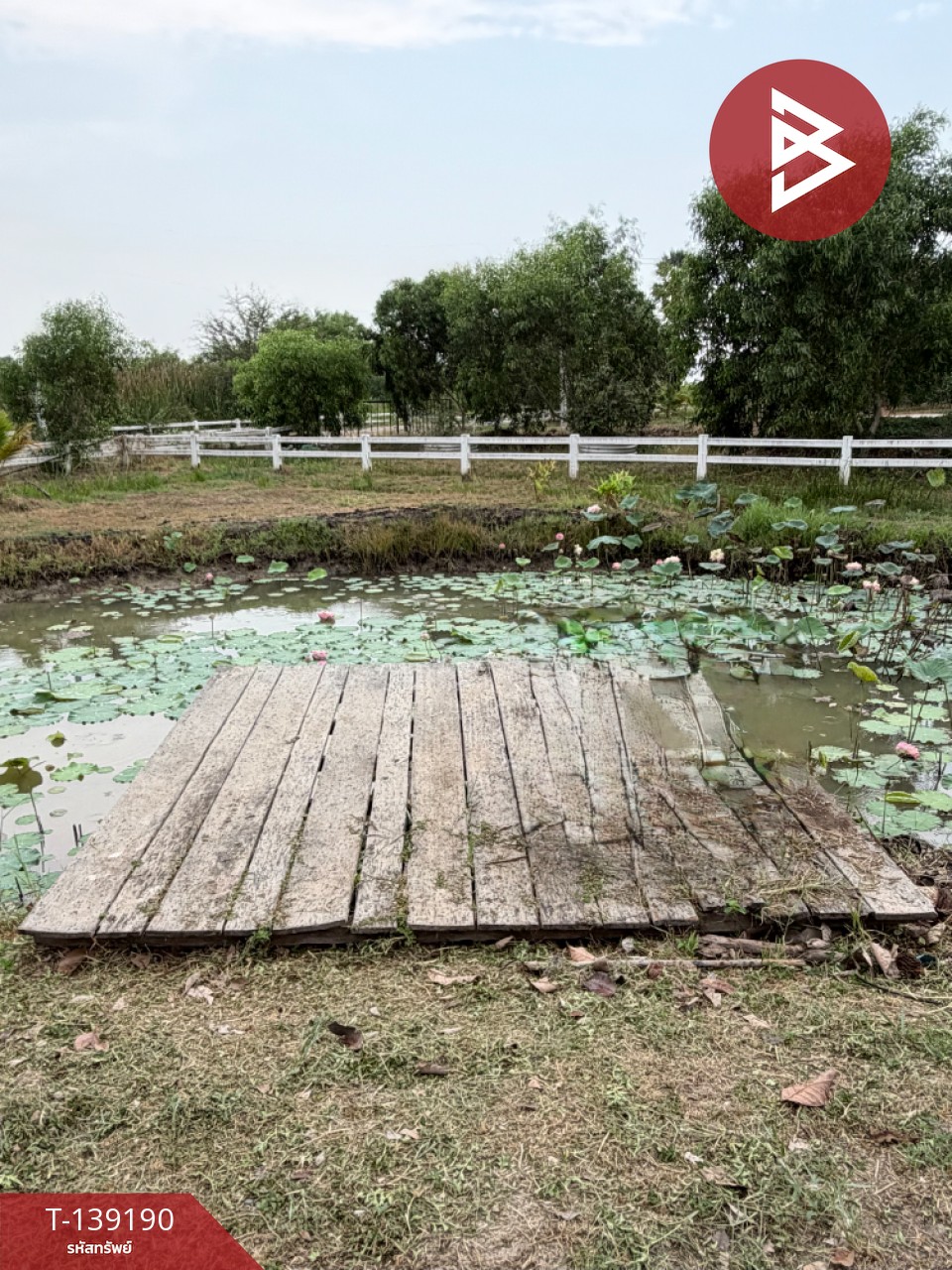 ขายบ้านเดี่ยวพร้อมที่ดิน เนื้อที่ 2 ไร่ 1 ตร.วา องครักษ์ นครนายก 4