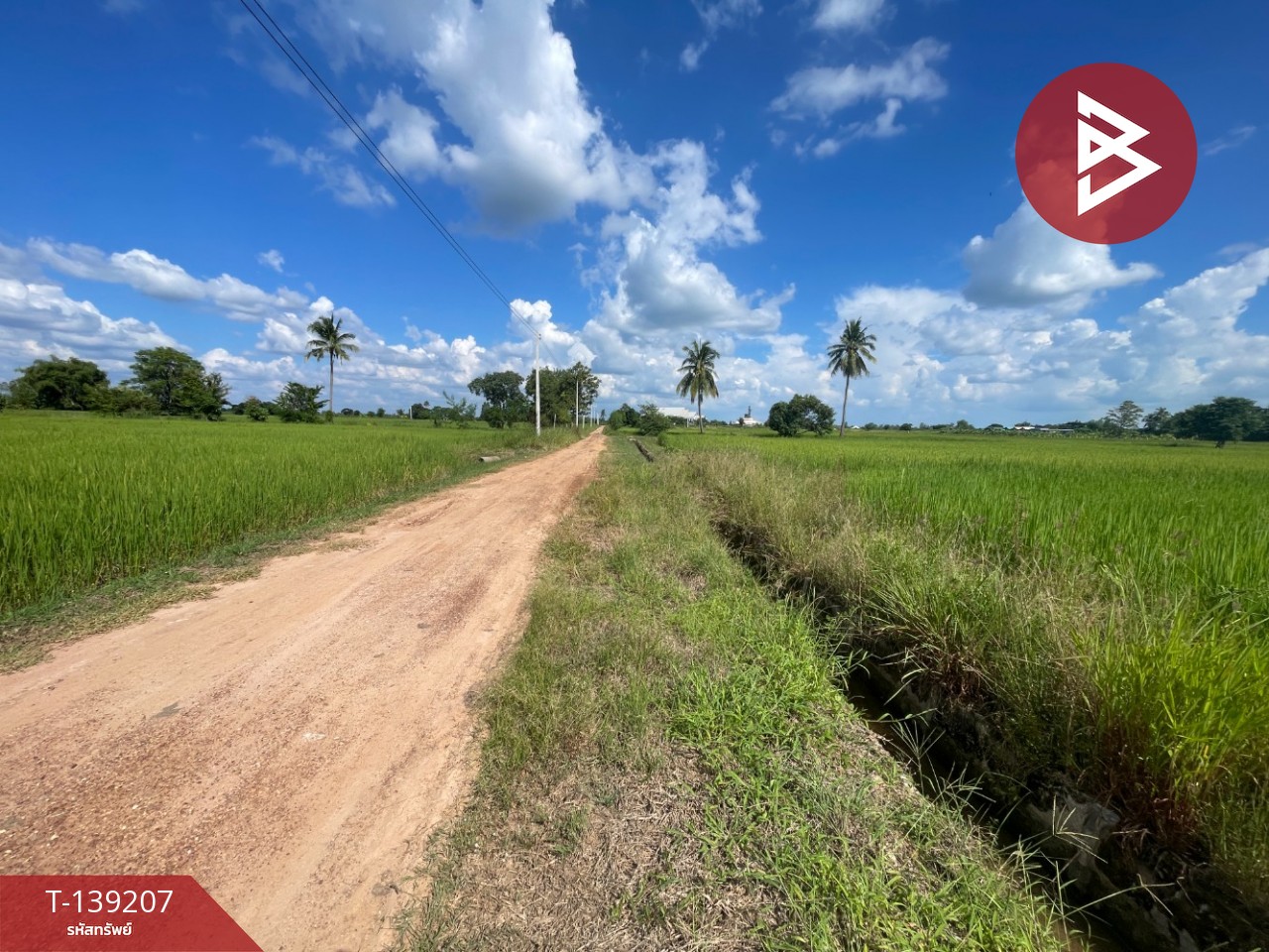 ขายที่ดิน เนื้อที่ 2 ไร่ 2 งาน 23.6 ตร.วา ต.ศิลา ขอนแก่น ทำเลดี วิวทุ่งนา 13