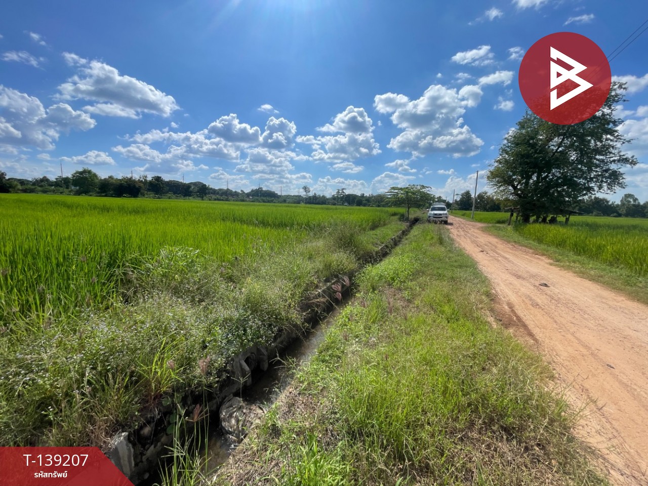 ขายที่ดิน เนื้อที่ 2 ไร่ 2 งาน 23.6 ตร.วา ต.ศิลา ขอนแก่น ทำเลดี วิวทุ่งนา 14