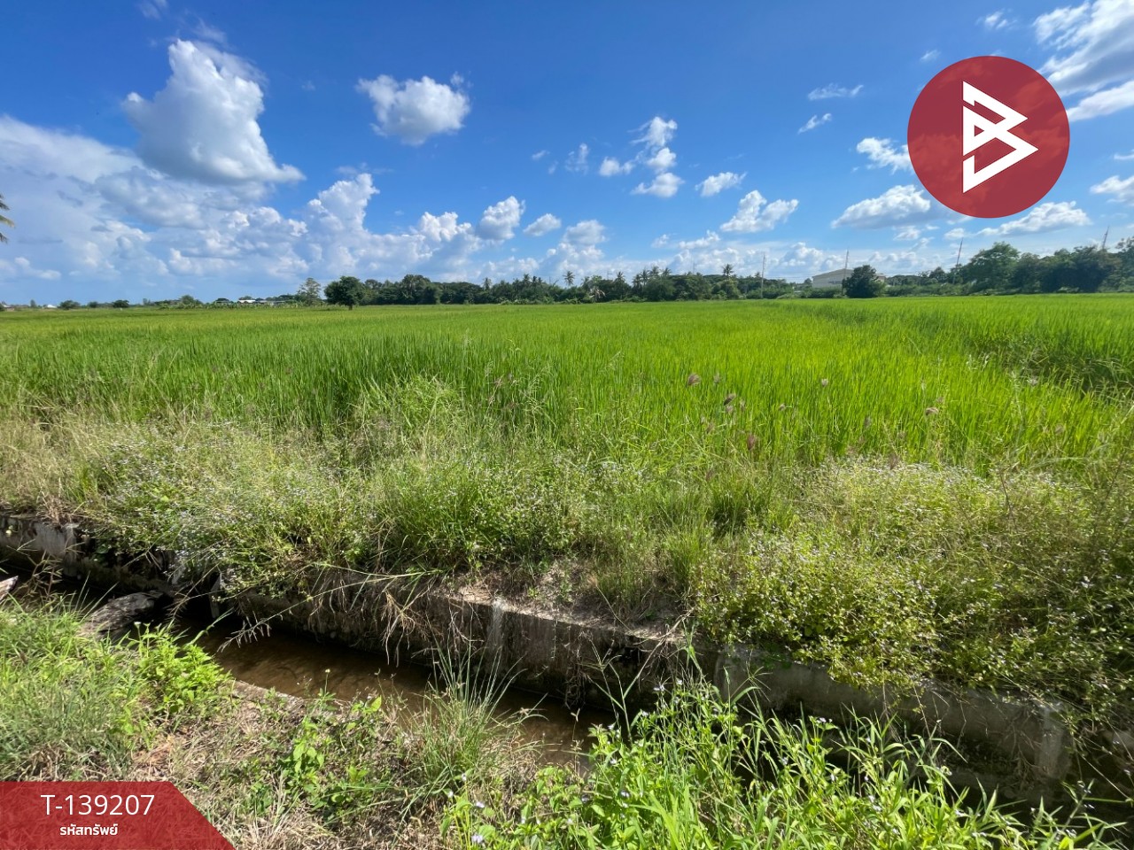 ขายที่ดิน เนื้อที่ 2 ไร่ 2 งาน 23.6 ตร.วา ต.ศิลา ขอนแก่น ทำเลดี วิวทุ่งนา 15