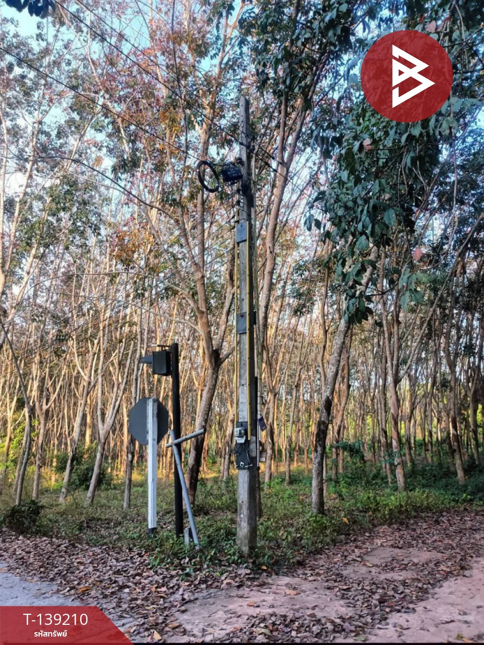 ขายที่ดิน เนื้อที่ 5 ไร่ แกลง ระยอง 5