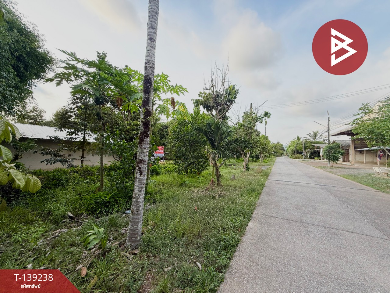 ขายที่ดินสวนทุเรียน เนื้อที่ 3 ไร่ 1 งาน 3.7 ตร.วา ต.พลับพลา จันทบุรี 5