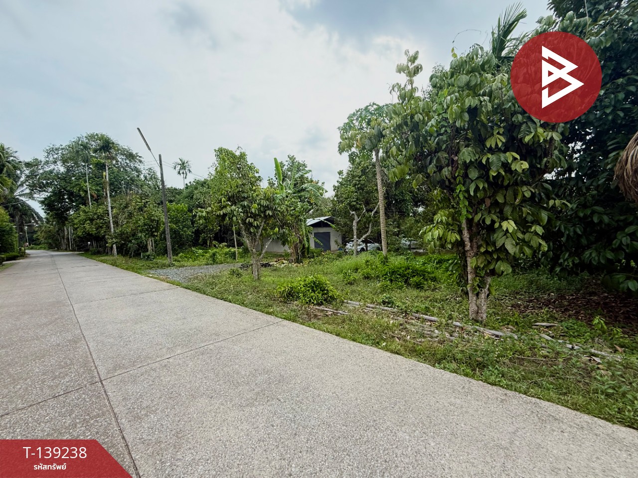 ขายที่ดินสวนทุเรียน เนื้อที่ 3 ไร่ 1 งาน 3.7 ตร.วา ต.พลับพลา จันทบุรี 6