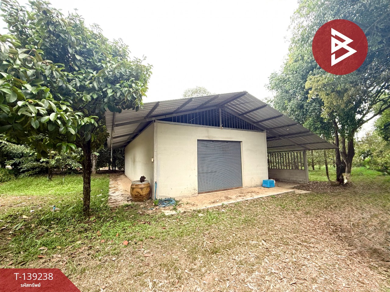 ขายที่ดินสวนทุเรียน เนื้อที่ 3 ไร่ 1 งาน 3.7 ตร.วา ต.พลับพลา จันทบุรี 3