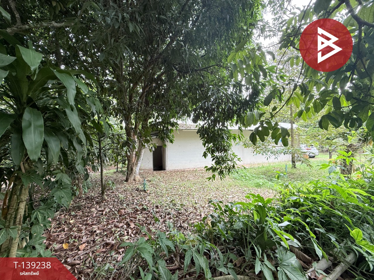 ขายที่ดินสวนทุเรียน เนื้อที่ 3 ไร่ 1 งาน 3.7 ตร.วา ต.พลับพลา จันทบุรี 7