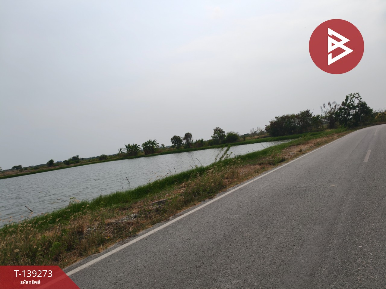 ขายที่ดิน เนื้อที่ 26 ไร่ 2 งาน 59 ตร.วา บางปะกง ฉะเชิงเทรา 7