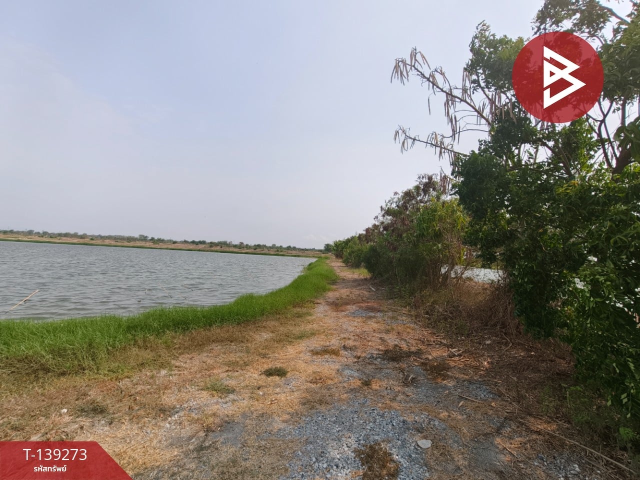 ขายที่ดิน เนื้อที่ 26 ไร่ 2 งาน 59 ตร.วา บางปะกง ฉะเชิงเทรา 1